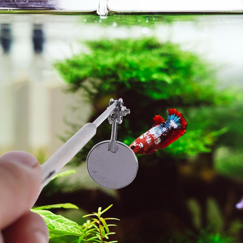 Aquarium Fish Cichlid - Scalable Stainless Steel Aquarium Betta Mirror