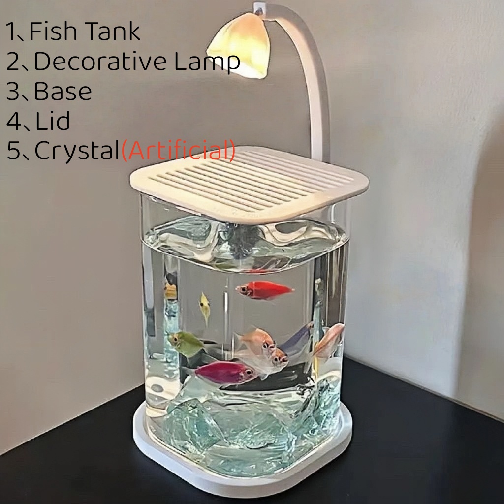 Aquarium Fish Low Maintenance - Frameless Lid LED Small Fish Tank