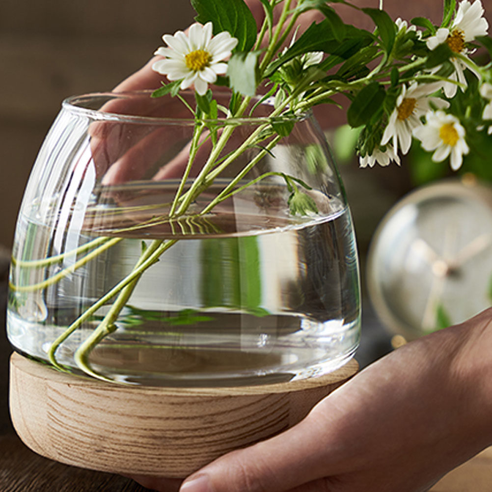Aquarium Fish Unique - 1Set Clear Glass Hydroponic Plant Terrarium