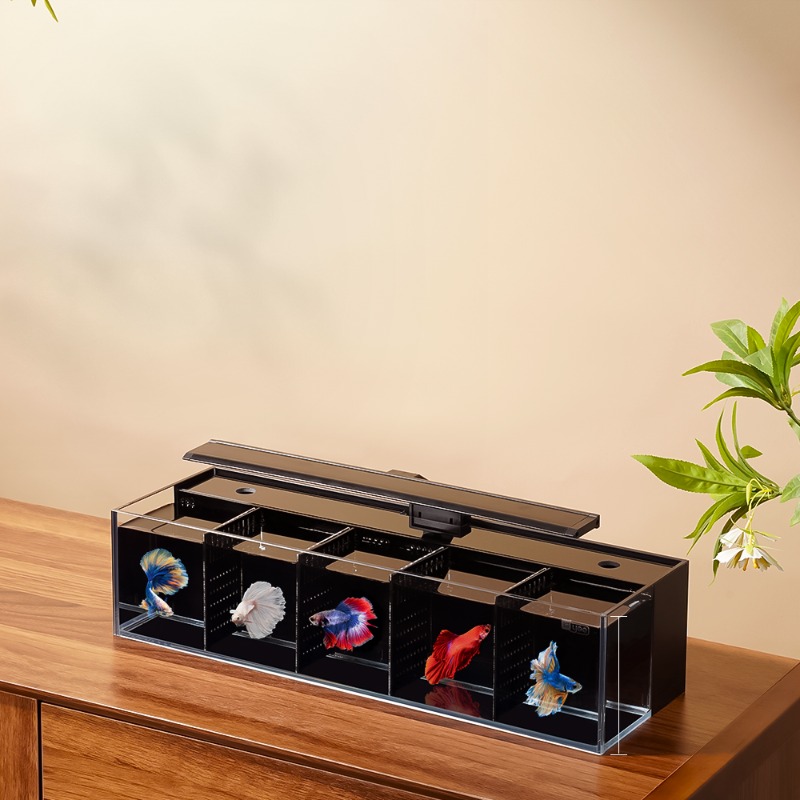 Aquarium Fish Beautiful - Douyu aquarium multi-grid combination small glass