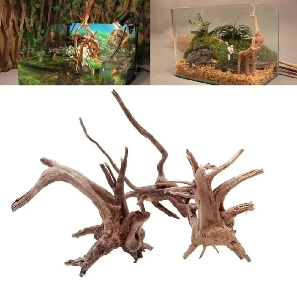 Aquarium Fish Gallery - 15-20CM Natural Driftwood Aquarium Decor -