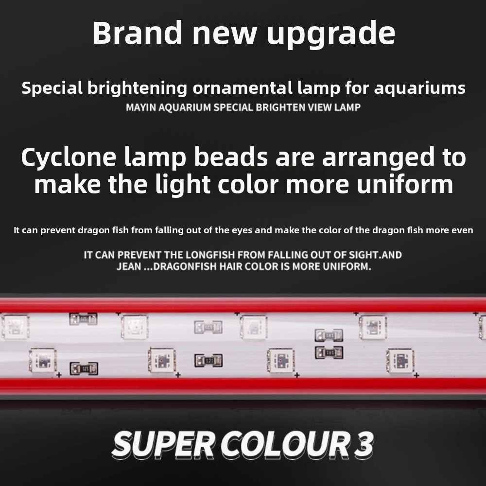 Aquarium Fish Dragon - Hair Color Light Three Primary Colors