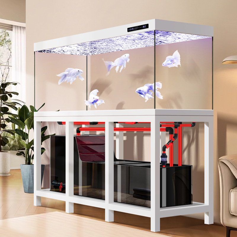 Aquarium Fish Low Maintenance - Pipeless Industrial Large Arowana Aquarium, 2026
