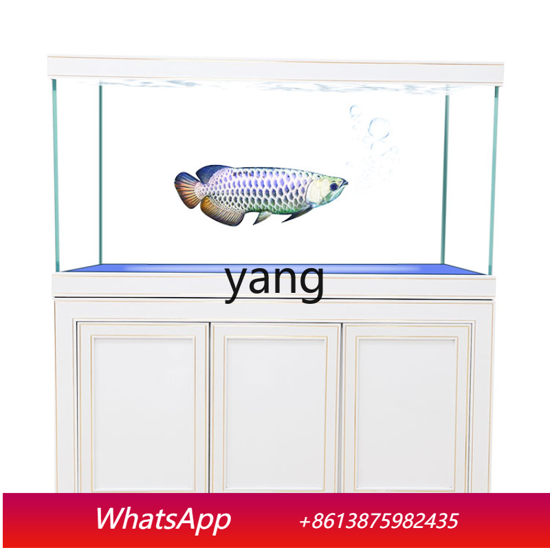 Aquarium Fish Dragon - LH Super White Glass Medium and