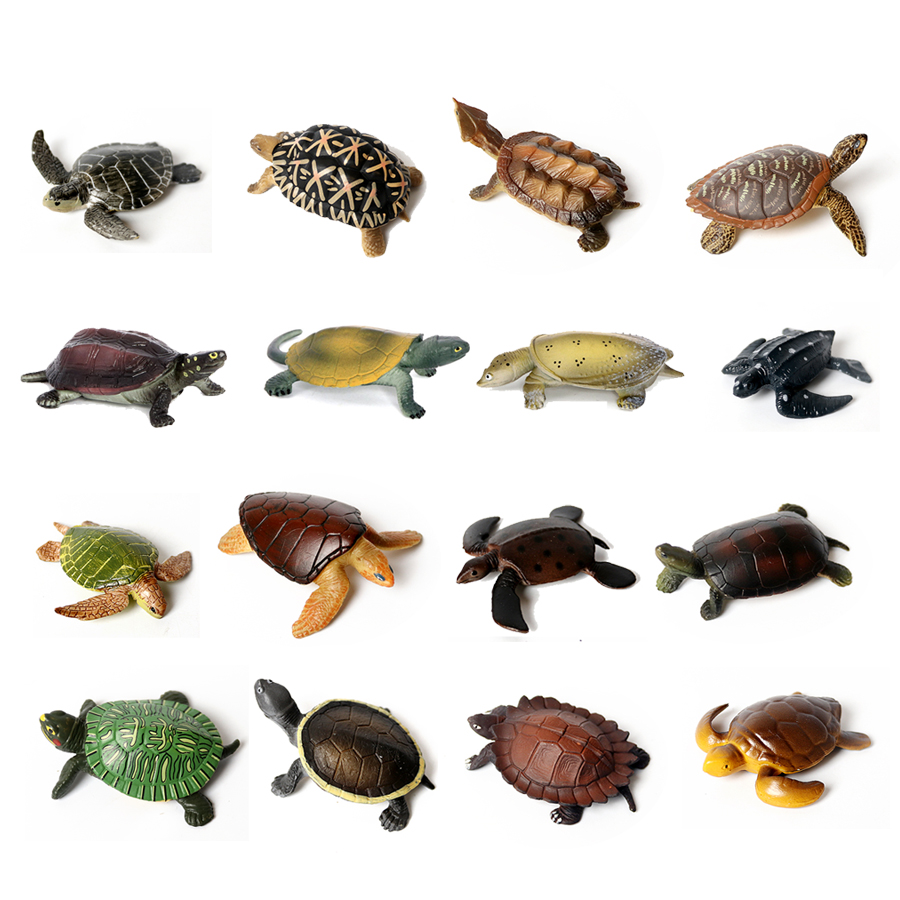 Aquarium Fish Accessories - Thực Tế Bức Tiểu Họa Sinh