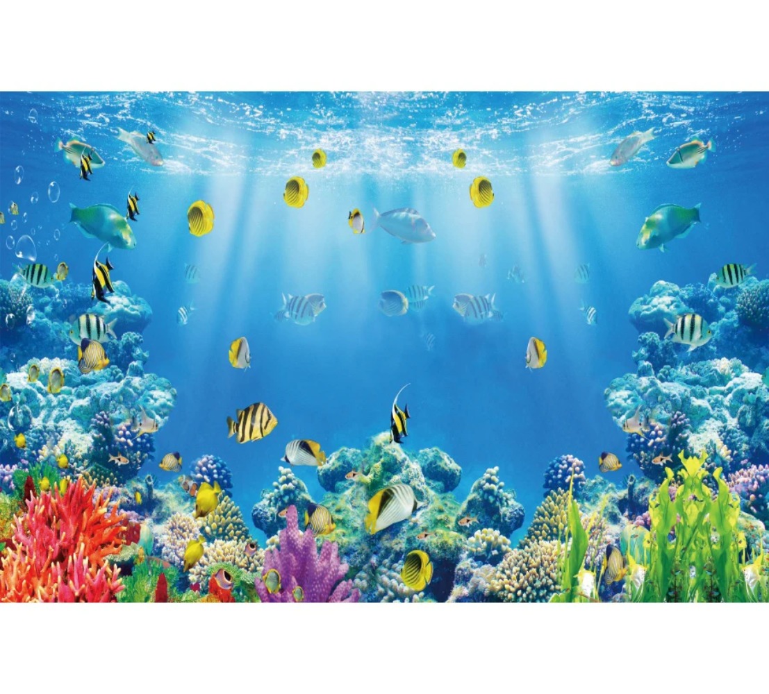 Underwater World Fish Coral Aq - đánh giá và giá Aquarium Fish Of The World