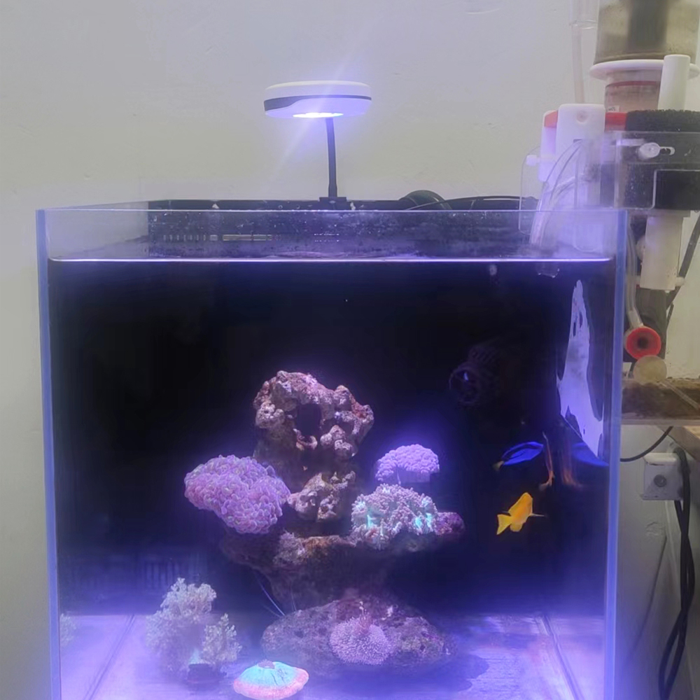 Spectra 20W Nano Clip ON Refug - đánh giá và giá Refugium Light Nano