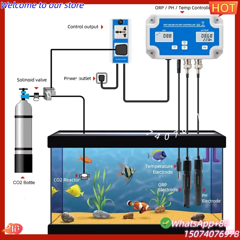 2026 Wireless WiFi Online Cont - đánh giá và giá Aquarium Fish In Online