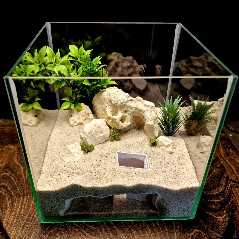 3D Printed Secret House Fish T - đánh giá và giá Aquarium Fish Cichlid