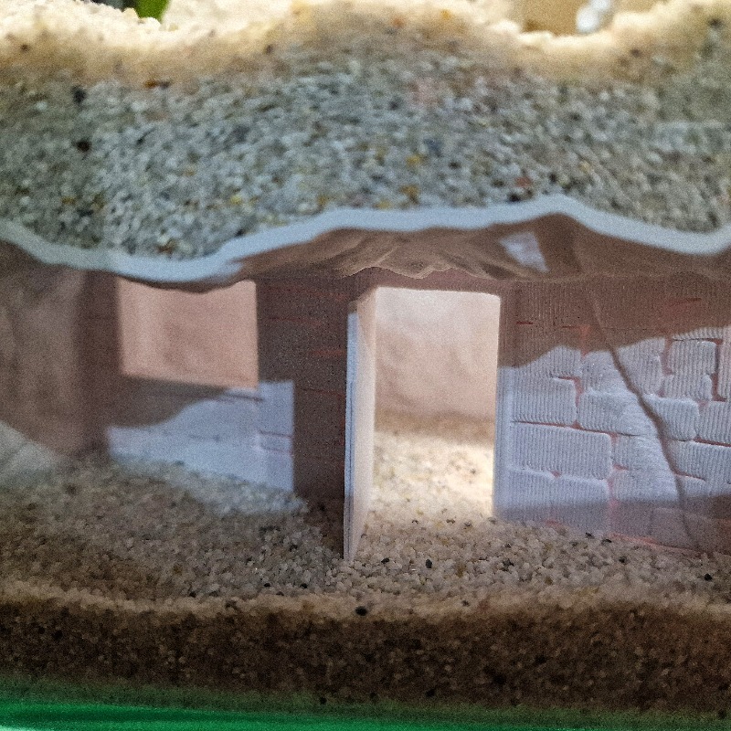 3D Printed Secret House Fish T - đánh giá và giá Aquarium Fish Cichlid