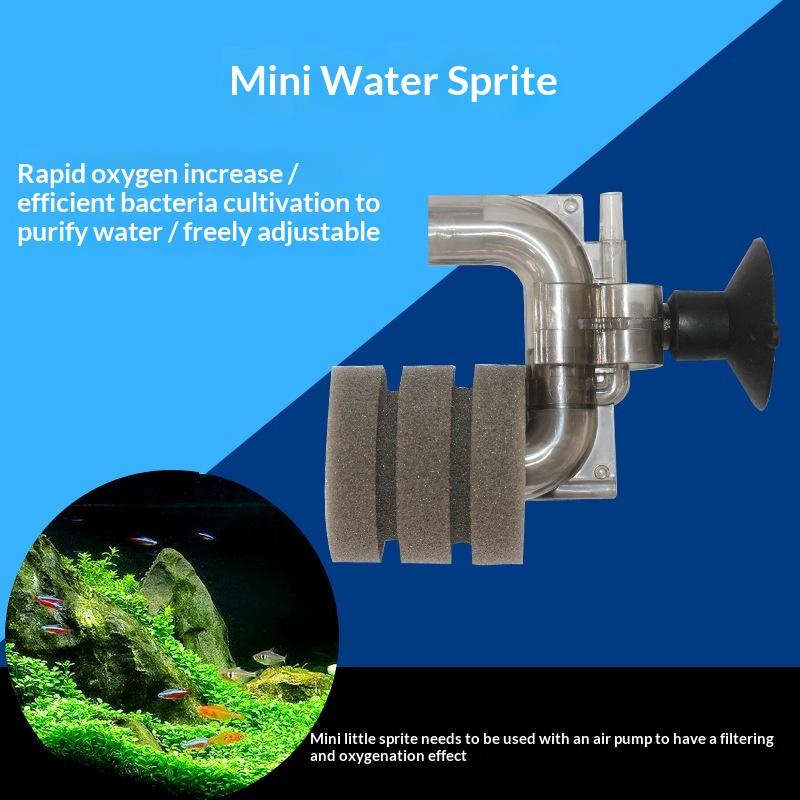 .Hot Sale-Mini Aquarium Sponge - đánh giá và giá Aquarium Fish Sale