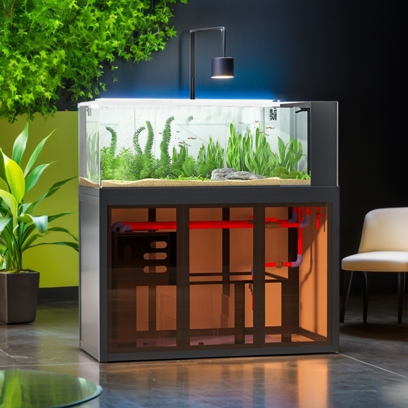 Industrial-style aquascape fis - đánh giá và giá Aquarium Fish Low Maintenance