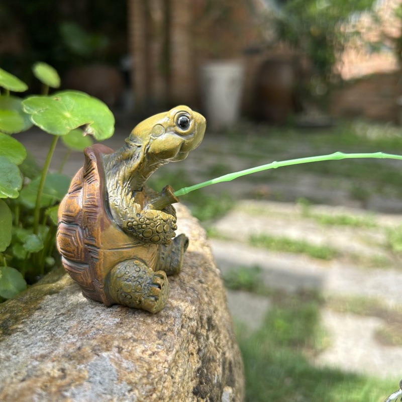 Turtle fishing fish tank aquar - đánh giá và giá Aquarium Fish Gallery