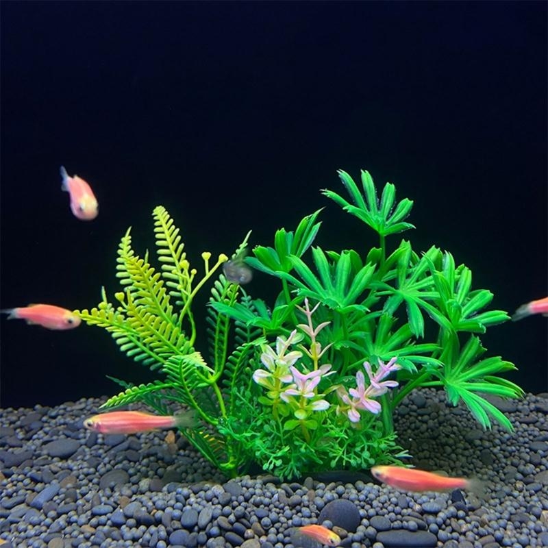 Nhân Tạo Trang Trí Bể Cá Vật C - đánh giá và giá Aquarium Fish Sale
