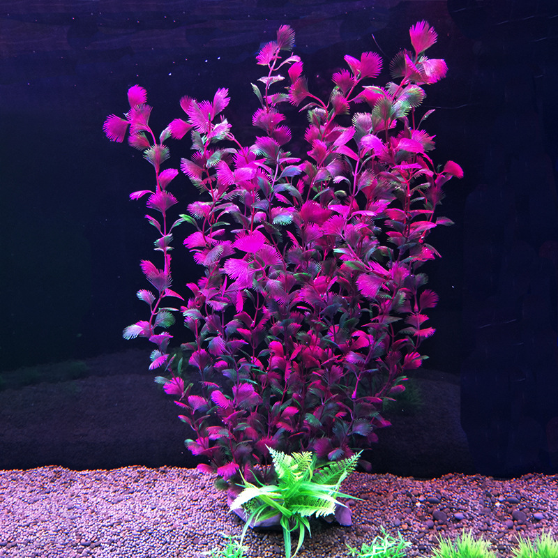 52 cm artificial fish tank pla - đánh giá và giá Aquarium Fish Beautiful