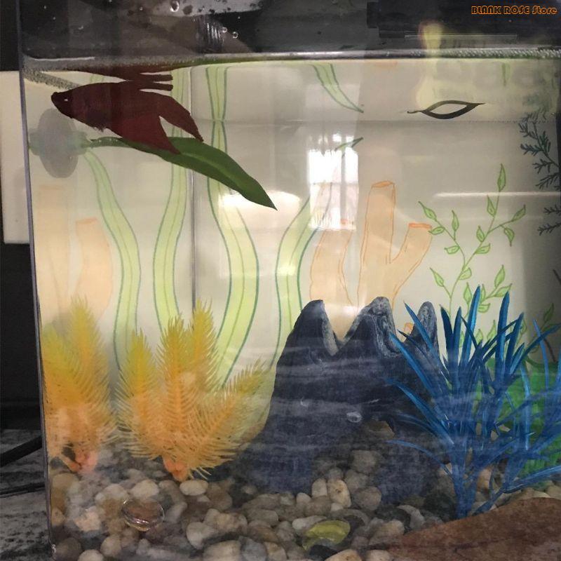 K1AE Bể Cá Vật Có Trang Trí Nh - đánh giá và giá Aquarium Fish Beautiful