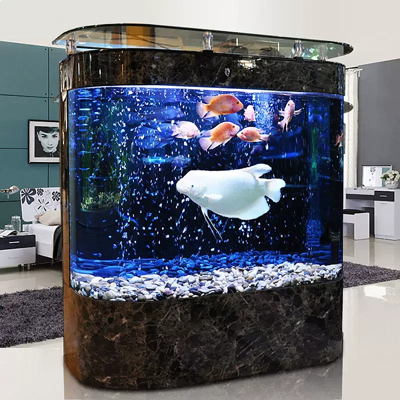 Large Curved Fish Tank Floor S - đánh giá và giá Aquarium Fish Low Maintenance