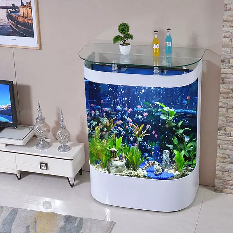 Large Curved Fish Tank Floor S - đánh giá và giá Aquarium Fish Low Maintenance