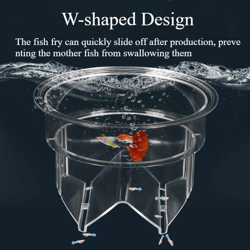 Floating Fish Breeding Isolati - đánh giá và giá Aquarium Fish Accessories