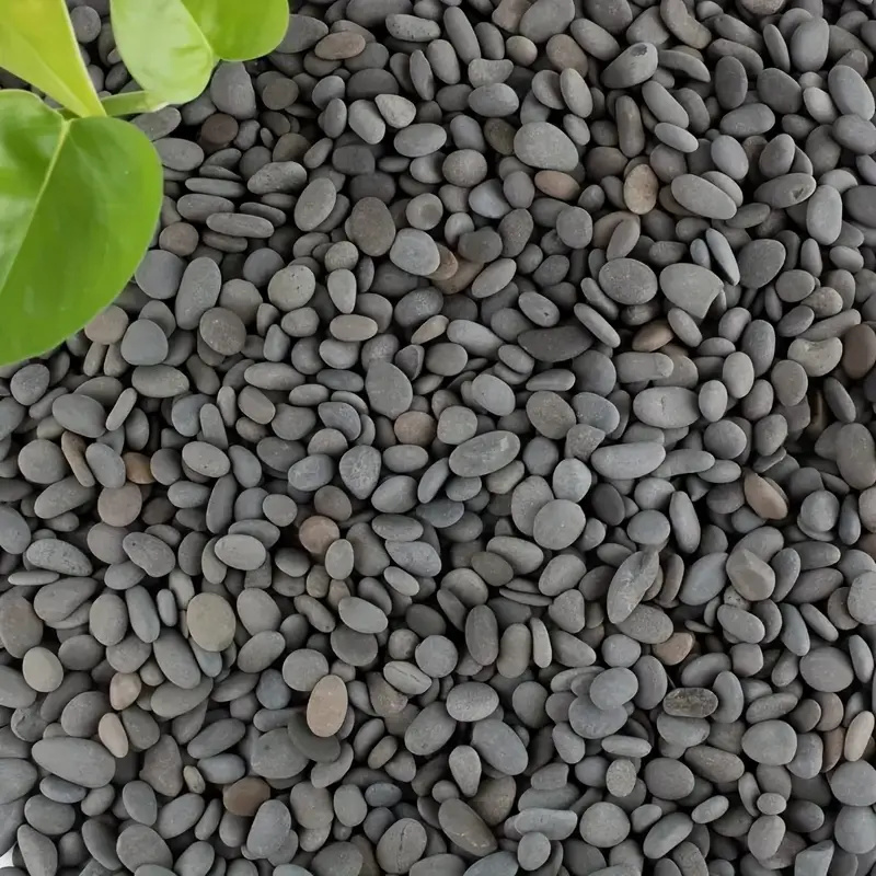 20Pcs Natural River Rocks Smoo - đánh giá và giá Aquarium Fish Gallery