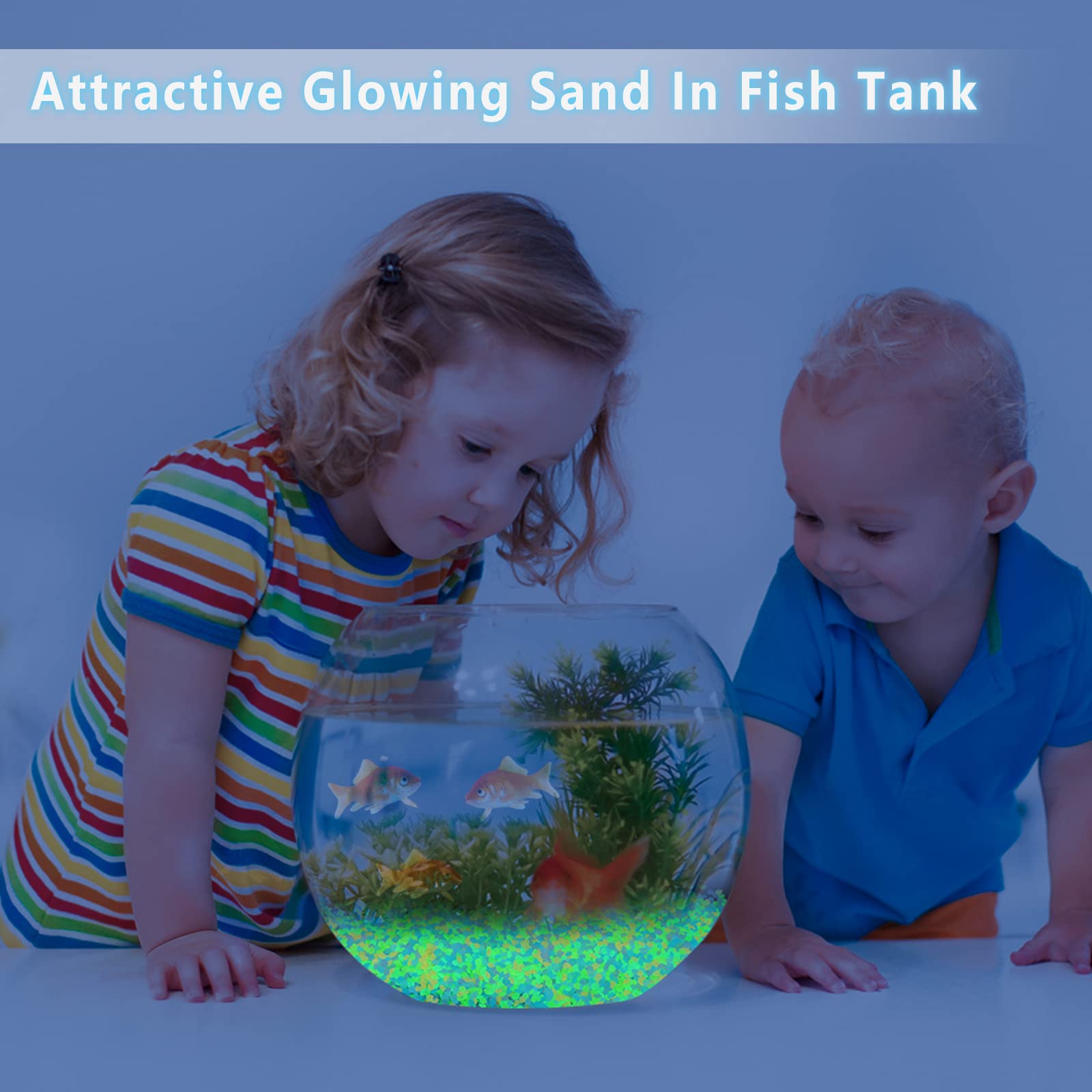 1000Pcs Luminous Sand Glow In  - đánh giá và giá Aquarium Fish Gallery