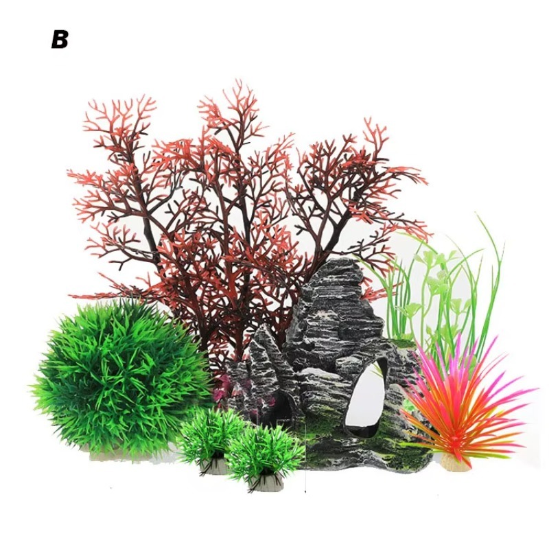 10pcs Hot Selling New Arrival  - đánh giá và giá Aquarium Fish Sale