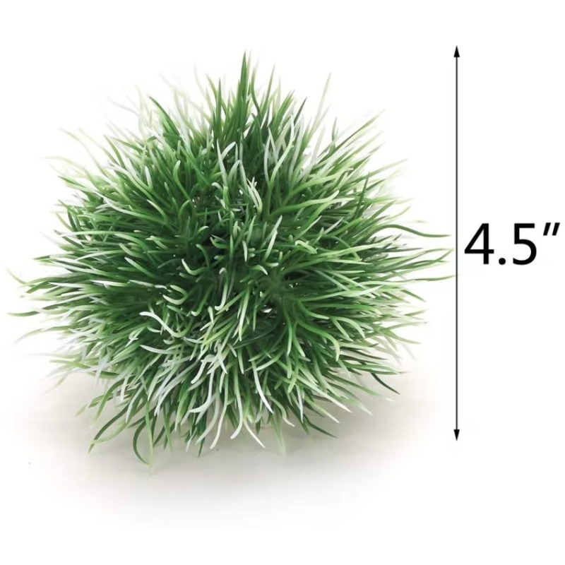 10pcs Hot Selling New Arrival  - đánh giá và giá Aquarium Fish Sale