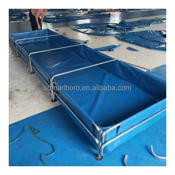 AIROW Custom Commercial High Q - đánh giá và giá Aquarium Fish Sale