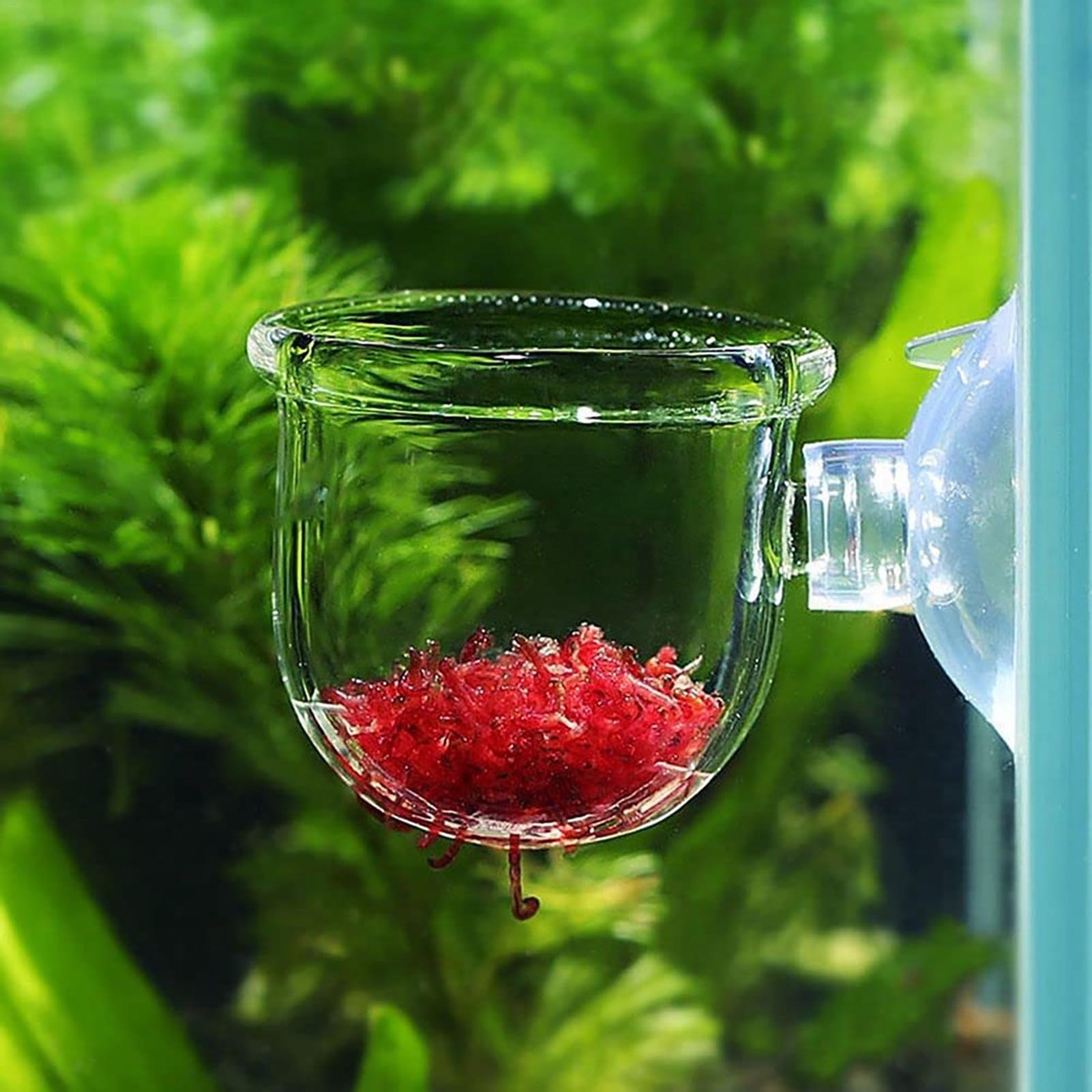 Aquatic Plant Cups Pot with Su - đánh giá và giá Aquarium Fish Beautiful