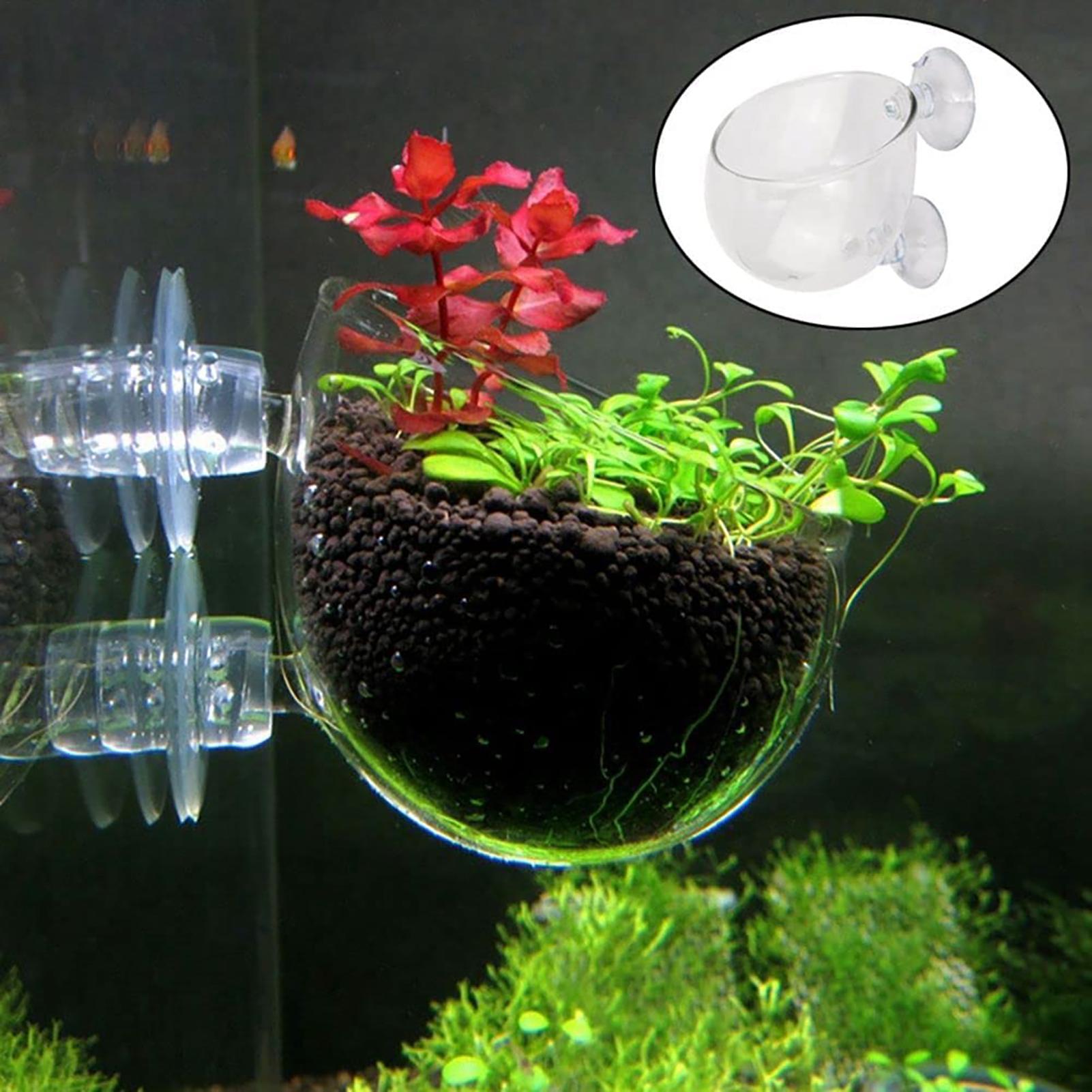 Aquatic Plant Cups Pot with Su - đánh giá và giá Aquarium Fish Beautiful