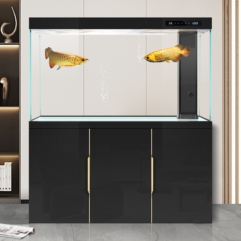 Fish tank living room 2025 new - đánh giá và giá Aquarium Fish Dragon