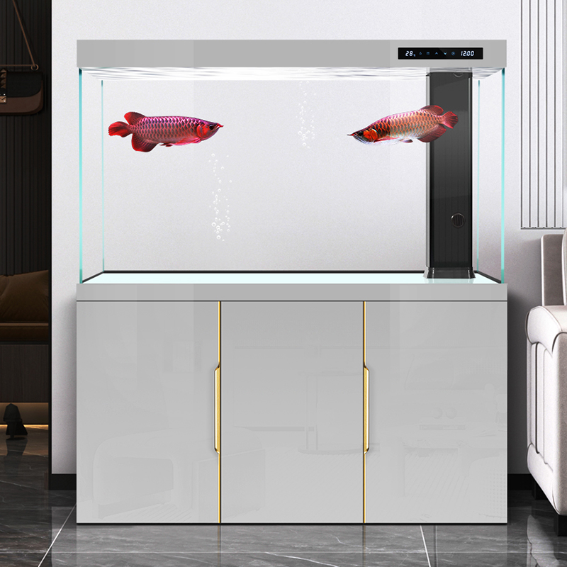 Fish tank living room 2025 new - đánh giá và giá Aquarium Fish Dragon