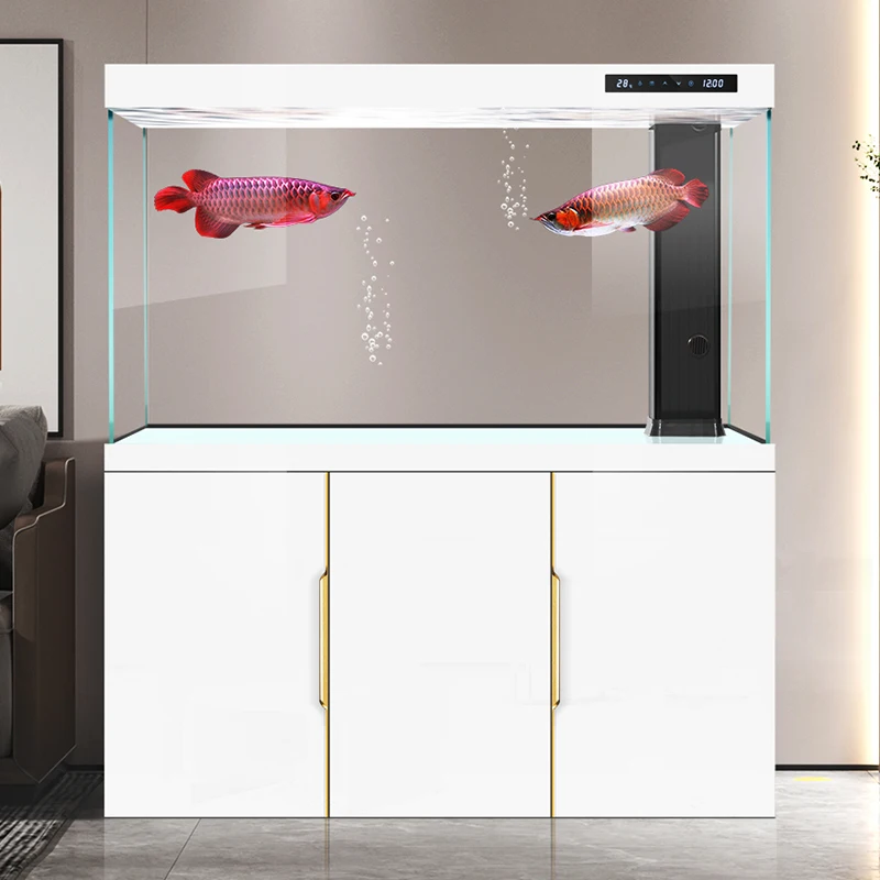 Fish tank living room 2025 new - đánh giá và giá Aquarium Fish Dragon