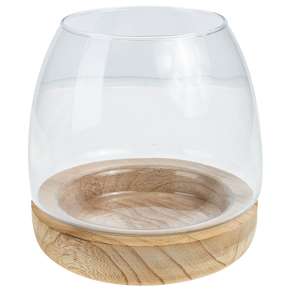 1Set Clear Glass Hydroponic Pl - đánh giá và giá Aquarium Fish Unique