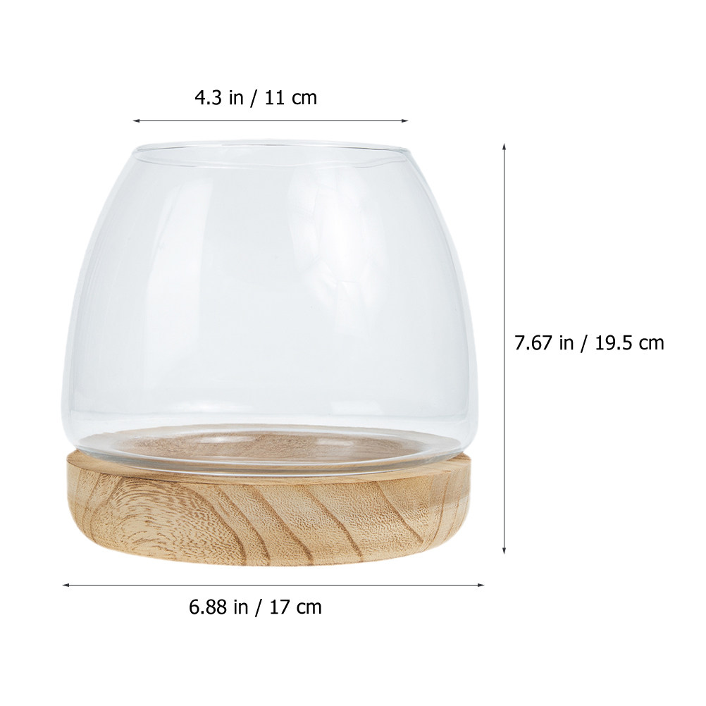 1Set Clear Glass Hydroponic Pl - đánh giá và giá Aquarium Fish Unique