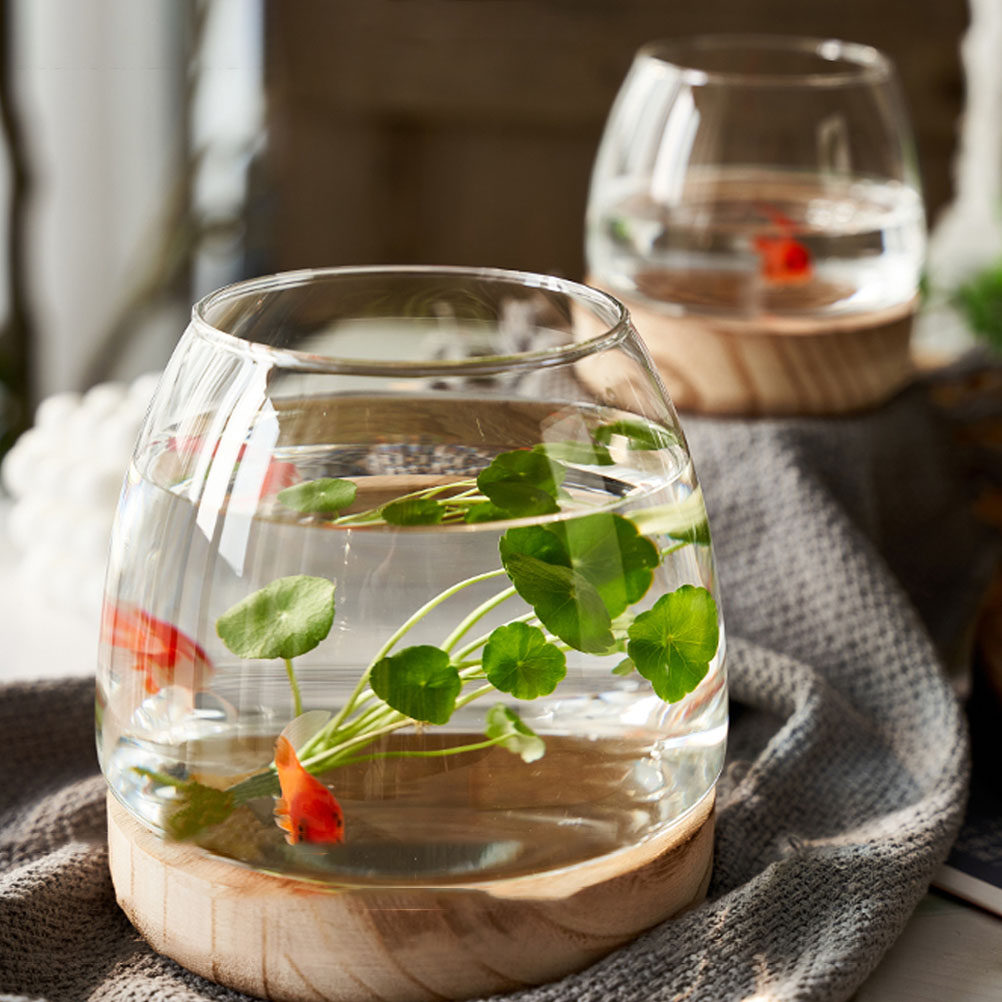 1Set Clear Glass Hydroponic Pl - đánh giá và giá Aquarium Fish Unique