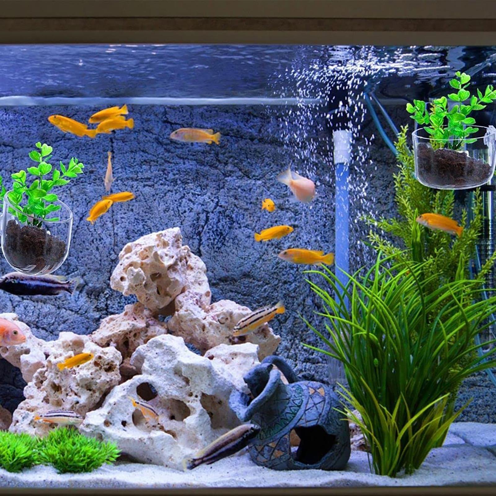Acrylic Aquarium Plant Pots Aq - đánh giá và giá Aquarium Fish Beautiful