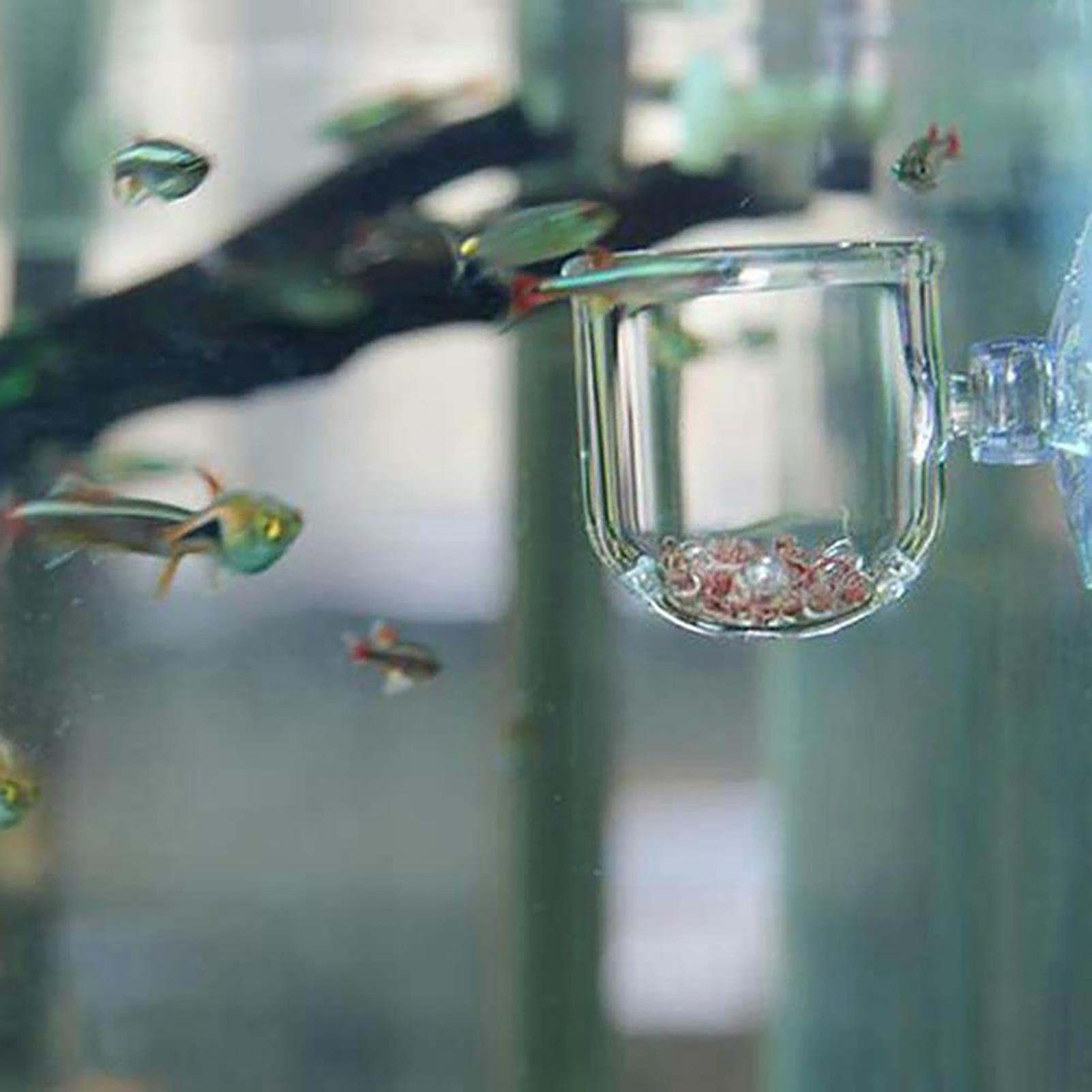 Acrylic Aquarium Plant Pots Aq - đánh giá và giá Aquarium Fish Beautiful