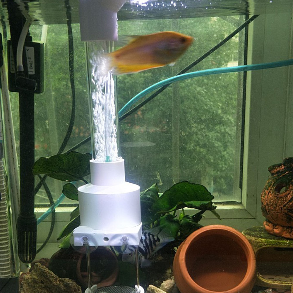 40mm Tumbler Incubator Fish Ha - đánh giá và giá Aquarium Fish Cichlid