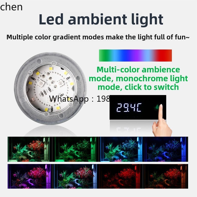 YGG  ultra-white glass small f - đánh giá và giá Aquarium Fish Without Oxygen