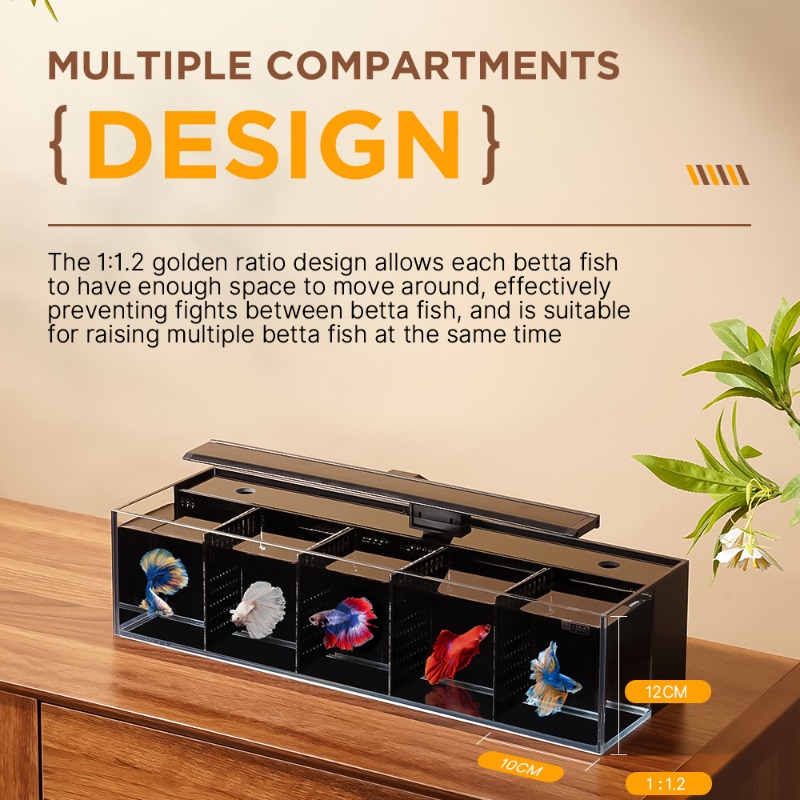 Douyu aquarium multi-grid comb - đánh giá và giá Aquarium Fish Beautiful