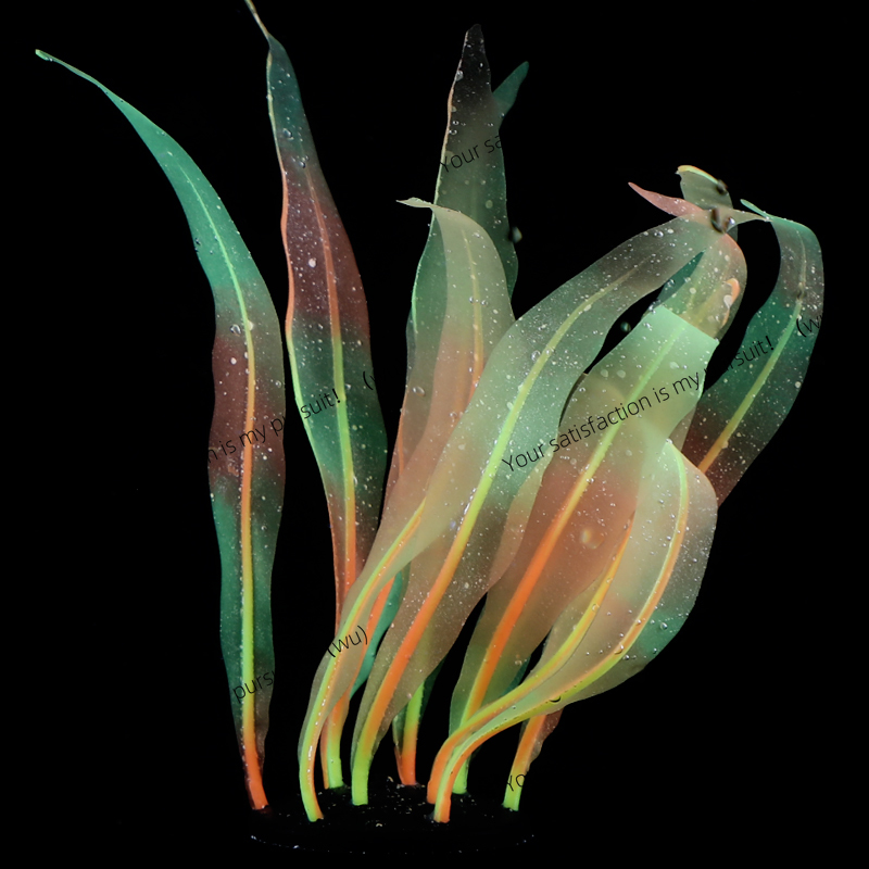 Simulated Kelp Plant Decoratio - đánh giá và giá Aquarium Fish Of The World