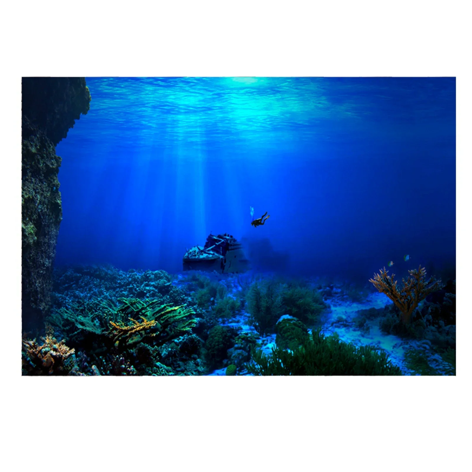 Rainforest Aquarium Background - đánh giá và giá Aquarium Fish Of The World