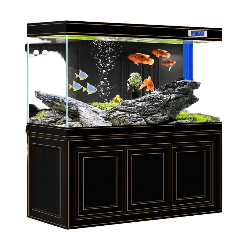 Fish tank Living Room Home Sup - đánh giá và giá Aquarium Fish Dragon
