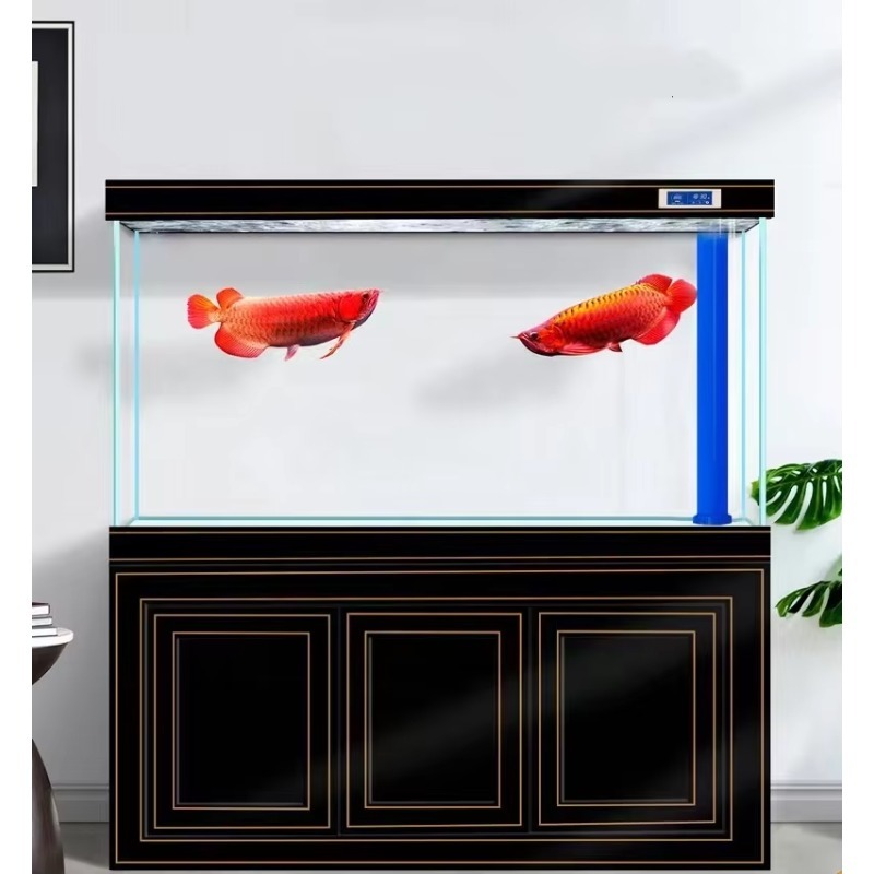 Fish tank Living Room Home Sup - đánh giá và giá Aquarium Fish Dragon