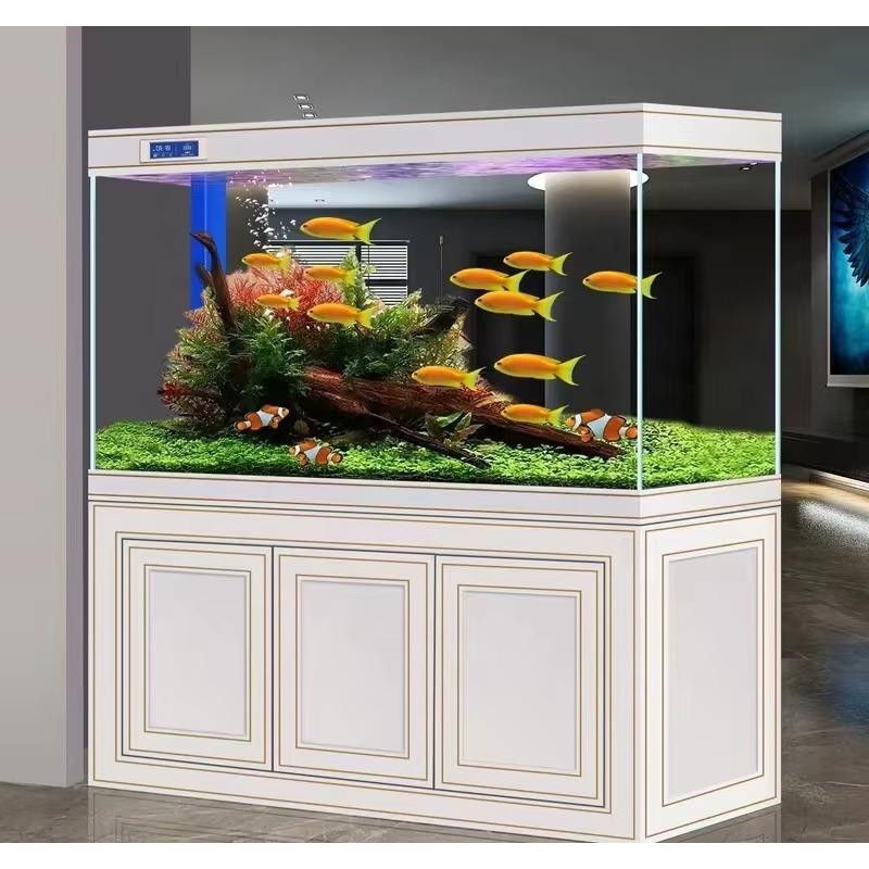 Fish tank Living Room Home Sup - đánh giá và giá Aquarium Fish Dragon