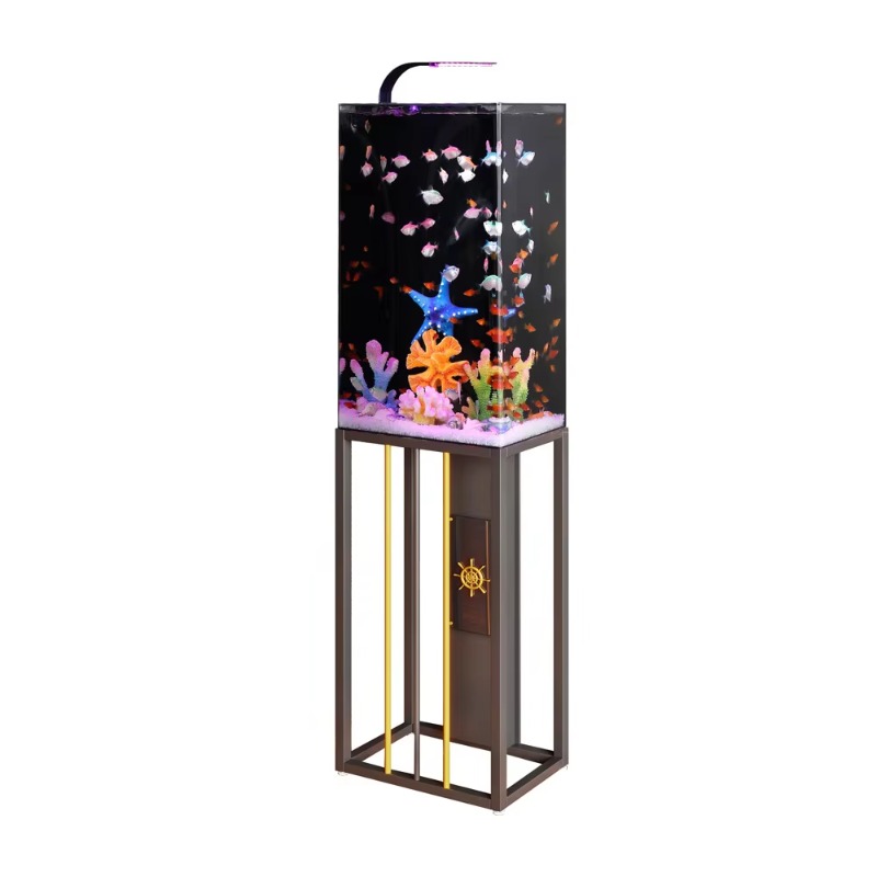 2026 Acrylic Aquarium Large an - đánh giá và giá Aquarium Fish Beautiful