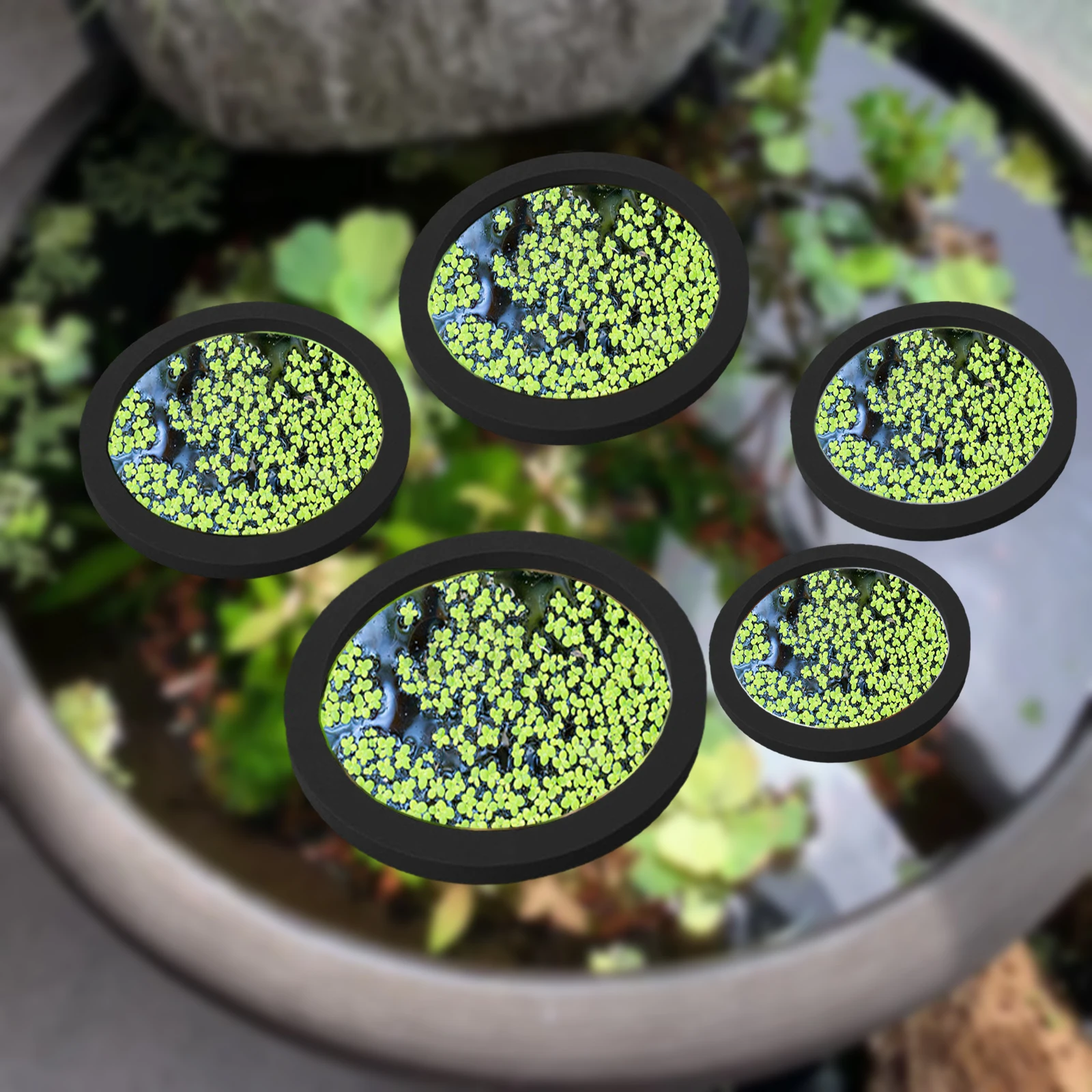 5Pcs EVA Fish Feeding Ring Aqu - đánh giá và giá Aquarium Fish Accessories