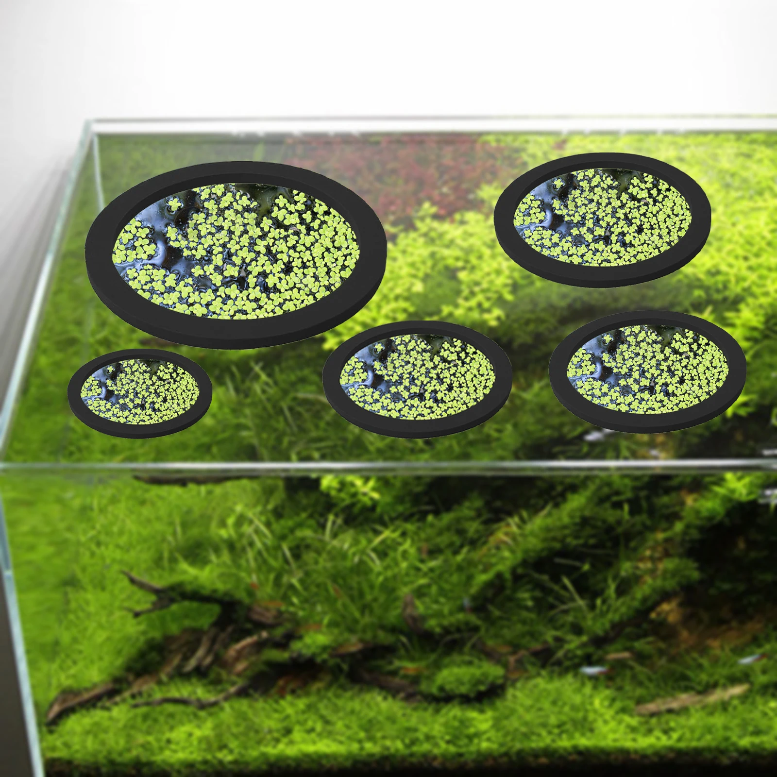 5Pcs EVA Fish Feeding Ring Aqu - đánh giá và giá Aquarium Fish Accessories