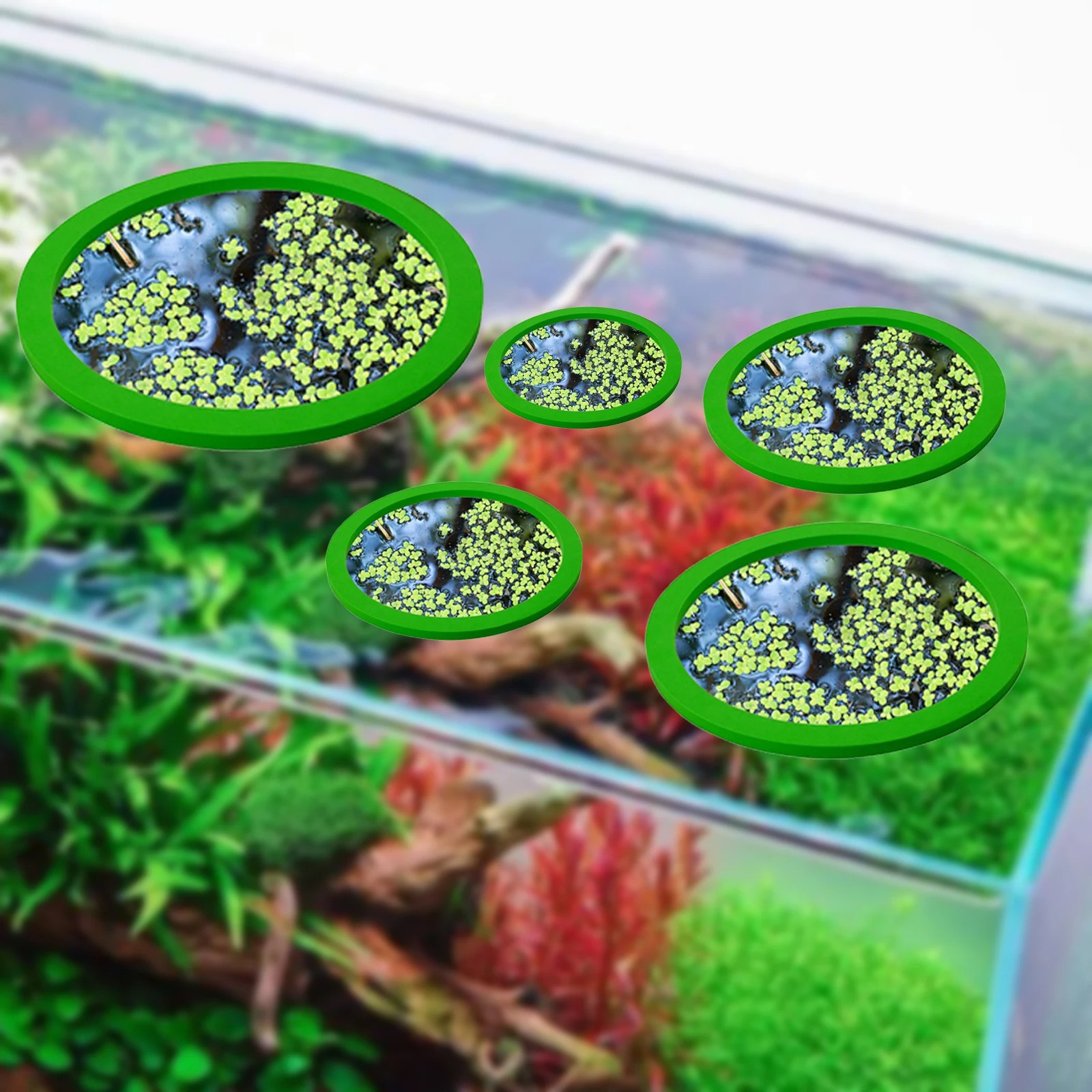 5Pcs EVA Fish Feeding Ring Aqu - đánh giá và giá Aquarium Fish Accessories